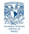 logo-unam